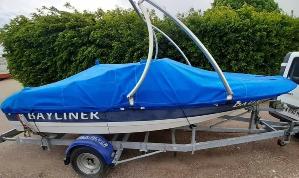 Sellerie (2)